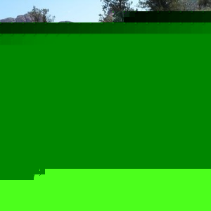 Profile Picture of John Cheney (@bloomoonshine) on Myspace