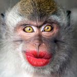 Profile Picture of Dr. Andrew Jimerson II, M.D. (@poohi3_) on Instagram