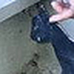 Profile Picture of Carly Morgan (@carly.morgan) on Flickr