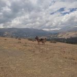 Profile Picture of Michael Estrella Miguel (@michael_07em) on Instagram