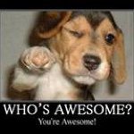 Profile Picture of Matthew Burleigh (@crazyshooting) on Instagram