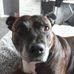 Profile Picture of Mark Tolhurst (@mark.tolhurst.3) on Facebook