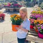 Profile Picture of David Ogilvie (@davidogilvie87) on Instagram