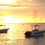 Profile Picture of jeromedohertybigara (@jeromedohertybigara) on Instagram