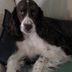Profile Picture of Pamela Farnsworth (@pamela.farnsworth.37) on Facebook