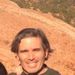 Profile Picture of Barry Lempert (@barrylempert) on Pinterest