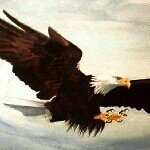 Profile Picture of andrew (@andrew_kochiev) on Instagram