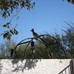 Profile Picture of Jean Fickle (@jeanfickle) on Instagram