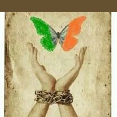 Profile Picture of Hannah Fitzsimons (@h_fitzsimons) on Twitter