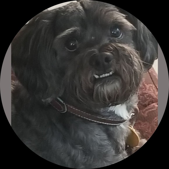 Profile Picture of Arvis Arvis (@arvissings) on Poshmark