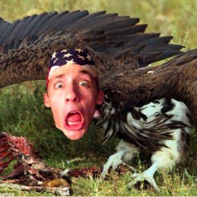 Profile Photo of Savage Vulch Breh (@BrianStentz) on Twitter