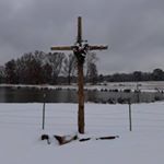 Profile Picture of Tracy McGee (@you.are.treasured) on Instagram