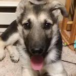 Profile Picture of Charles Mitchell (@dstylez20022) on Instagram