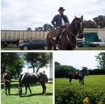 Profile Picture of Juan Carlos Grecco (@juan.carlos.grecco) on Facebook