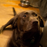Profile Picture of Jason Rapp (@Bizznichw) on Flickr