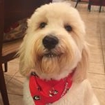 Profile Picture of Henry Doodle Frierson (@henry_doodlefrierson) on Instagram