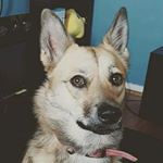 Profile Picture of Steven Brandon Brunelle (@brunelleski93) on Instagram