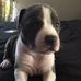 Profile Picture of Joseph Jimenez (@joseph.jimenez.3701) on Facebook