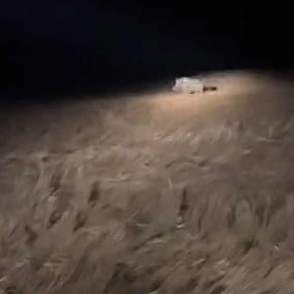 Profile Picture of rt_mullet (@rt_mullet) on Tiktok