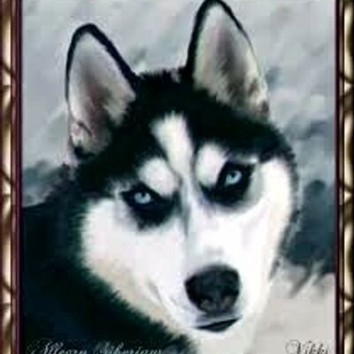 Adam Oliva - Twitter Profile Picture of Adam Oliva (@ApricotData474) on Twitter