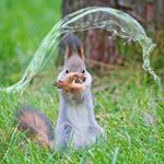 Profile Picture of Jean Paul Marcel Jean Kalidou (@jeankhalifaaa) on Instagram