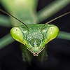 Profile Picture of Lens of Lawrence (@Lens of Lawrence) on Flickr