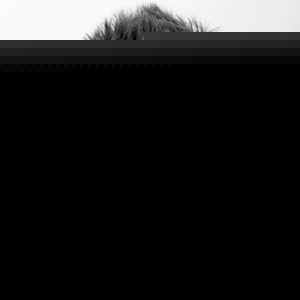 Daniel Tückmantel - Myspace Profile Picture of Daniel Tückmantel (@dtuckmantel) on Myspace