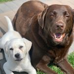 Profile Picture of izzy + aspen (@isabella.meeker) on Instagram