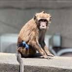 Profile Picture of Christopher Alcid (@christopher.alcid.2024) on Facebook