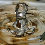 Profile Picture of Carl Beasley (@carlbeasley) on Instagram