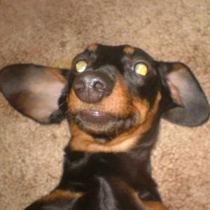 Profile Picture of Gordon Matheson (@gordonmatheson) on Myspace