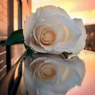 Profile Picture of Ghada Bakr (@Ghada-Bakr) on Facebook