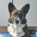 Profile Picture of Edward Dupont de Miabo (@edward.dupont) on Instagram