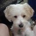 Profile Picture of Ronald S Perrone Sr (@ronald.s.sr2) on Facebook