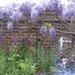 Profile Picture of susanne cansdale (@susannecansdale) on Pinterest