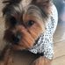 Profile Picture of Maxine Witter Outten (@Maxine-Witter-Outten) on Facebook