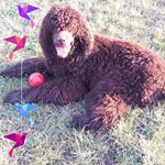 Profile Picture of Ian Biggs (@ian.biggs.543) on Instagram