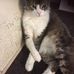Profile Picture of Robyn Faulds (@robyn.faulds.75) on Facebook