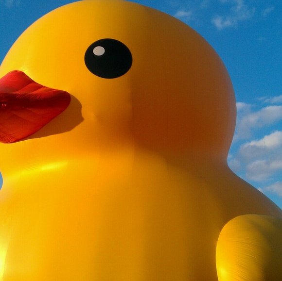 Tom Bougher - Poshmark Profile Picture of Tom Bougher (@tom1232) on Poshmark