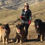 Profile Picture of Cindy Stratton (@monarchleos) on Instagram