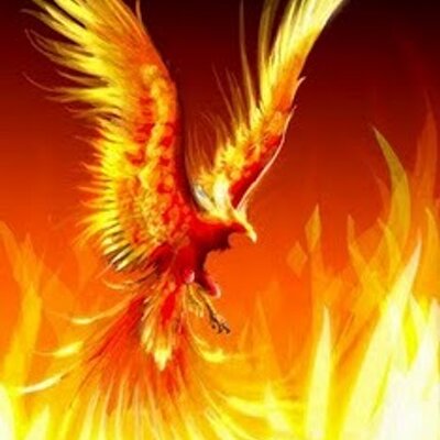 Profile Picture of Carla Steele (@QMidas) on Twitter
