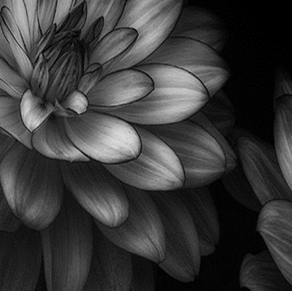 Profile Picture of Morgan Copeland (@morgan2315) on Poshmark