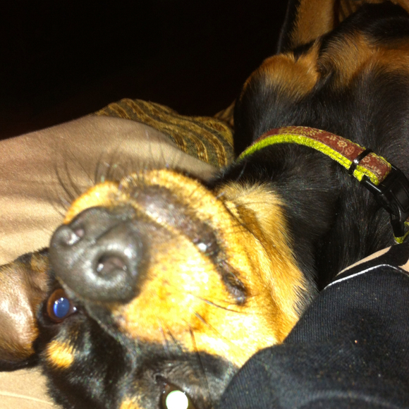 Profile Picture of Julie Mcwherter (@julae) on Poshmark