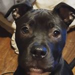 Profile Picture of Shawna Jackson (@starbaby1212) on Instagram
