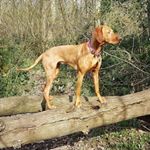 Profile Picture of Louisa Moore (@louisa.moore.142) on Instagram