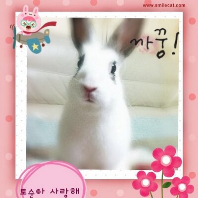 Profile Picture of Yeo Kyoung Hur (@hyk0118) on Twitter