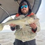 Profile Picture of Andrew Rogalski (@andrew_rogalski) on Instagram
