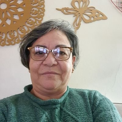 Profile Picture of Maria Fraga (@mariafraga63) on Twitter