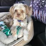 Profile Picture of Debbie Olmstead (@debbie.olmstead.1) on Instagram