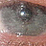 Profile Picture of robert ray (@cowboytrader) on Flickr